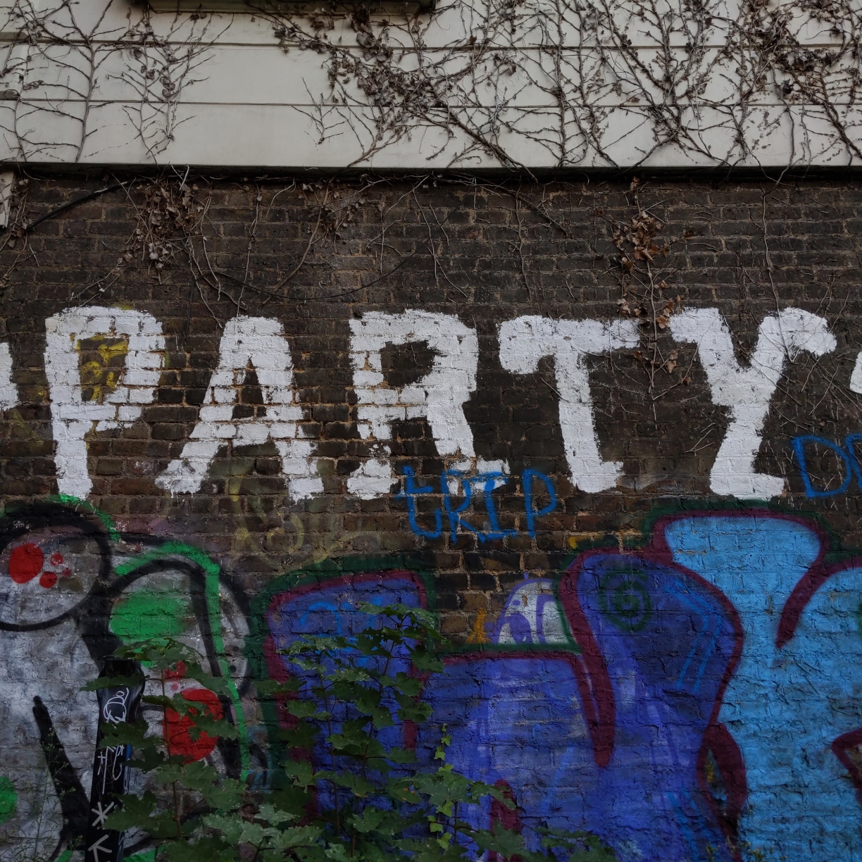 Graffiti on a brick wall surrounded by other tags. It just says "Party" in large white letters